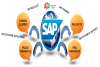 DỊCH VỤ ROLL OUT HỆ THỐNG SAP TẠI FPT IS